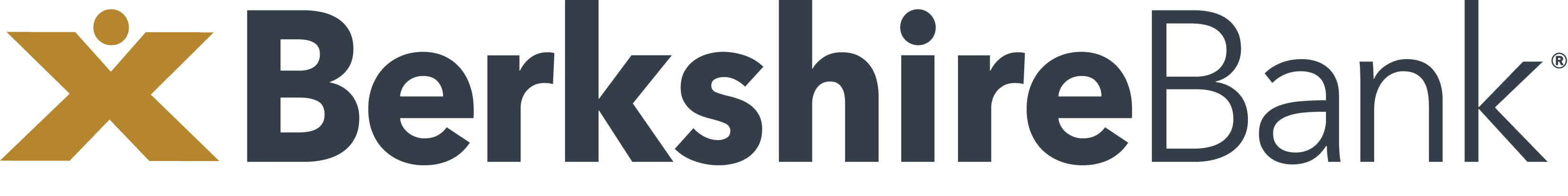 Berkshire-Bank-logo